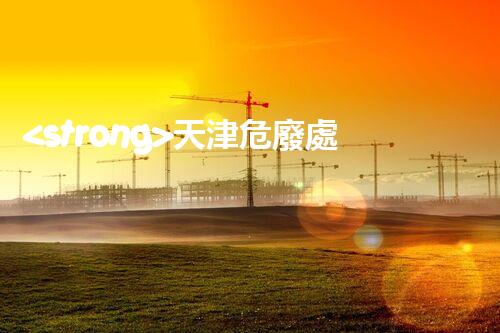 <strong>天津危廢處理公司排名前十名名單如何安全處理危險廢棄物？</strong>